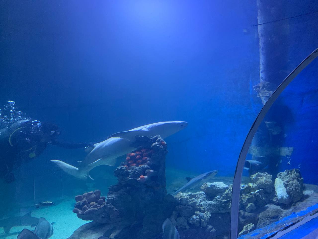 Hurghada – aavikon ja meren raja